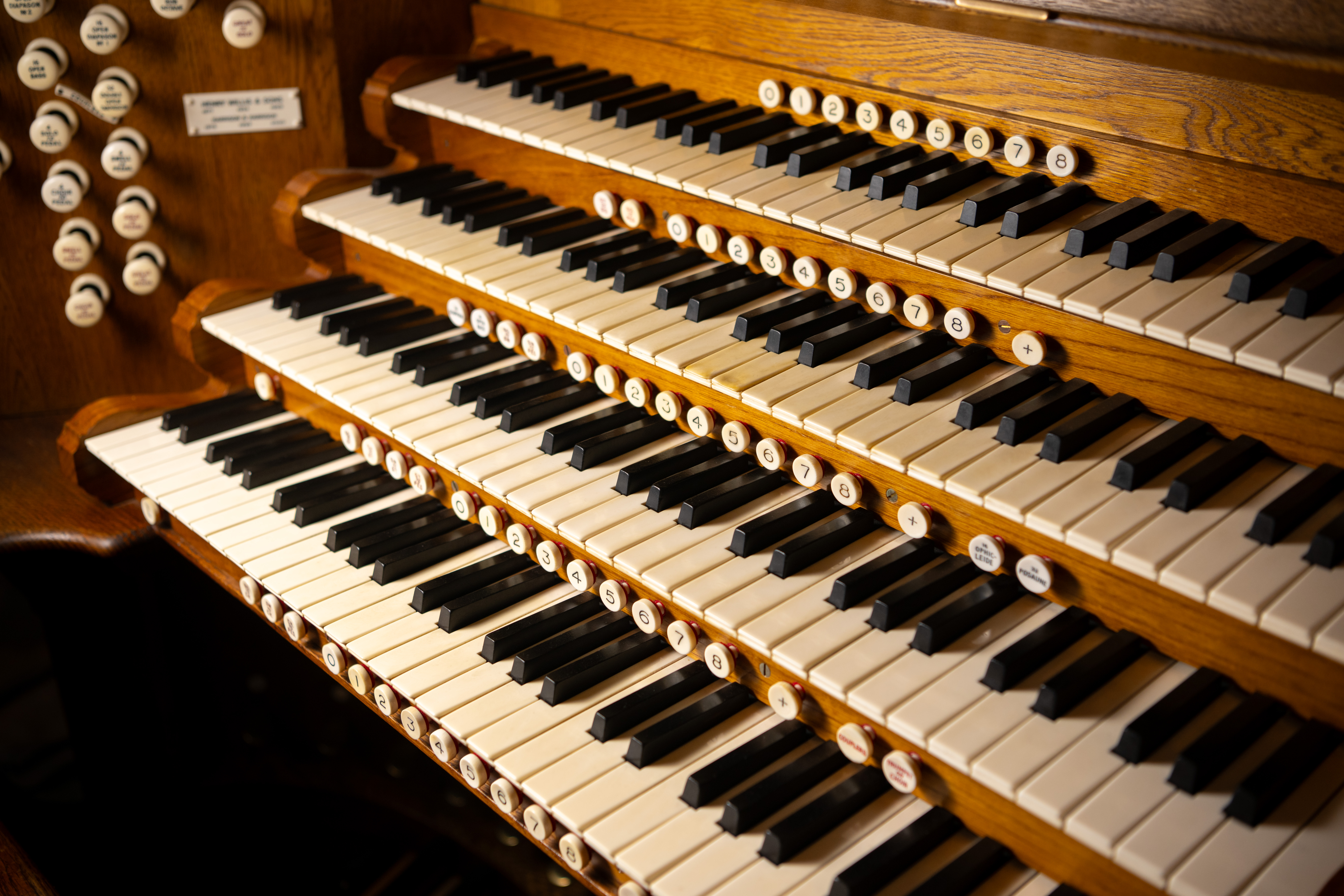 organ061.jpg (1)