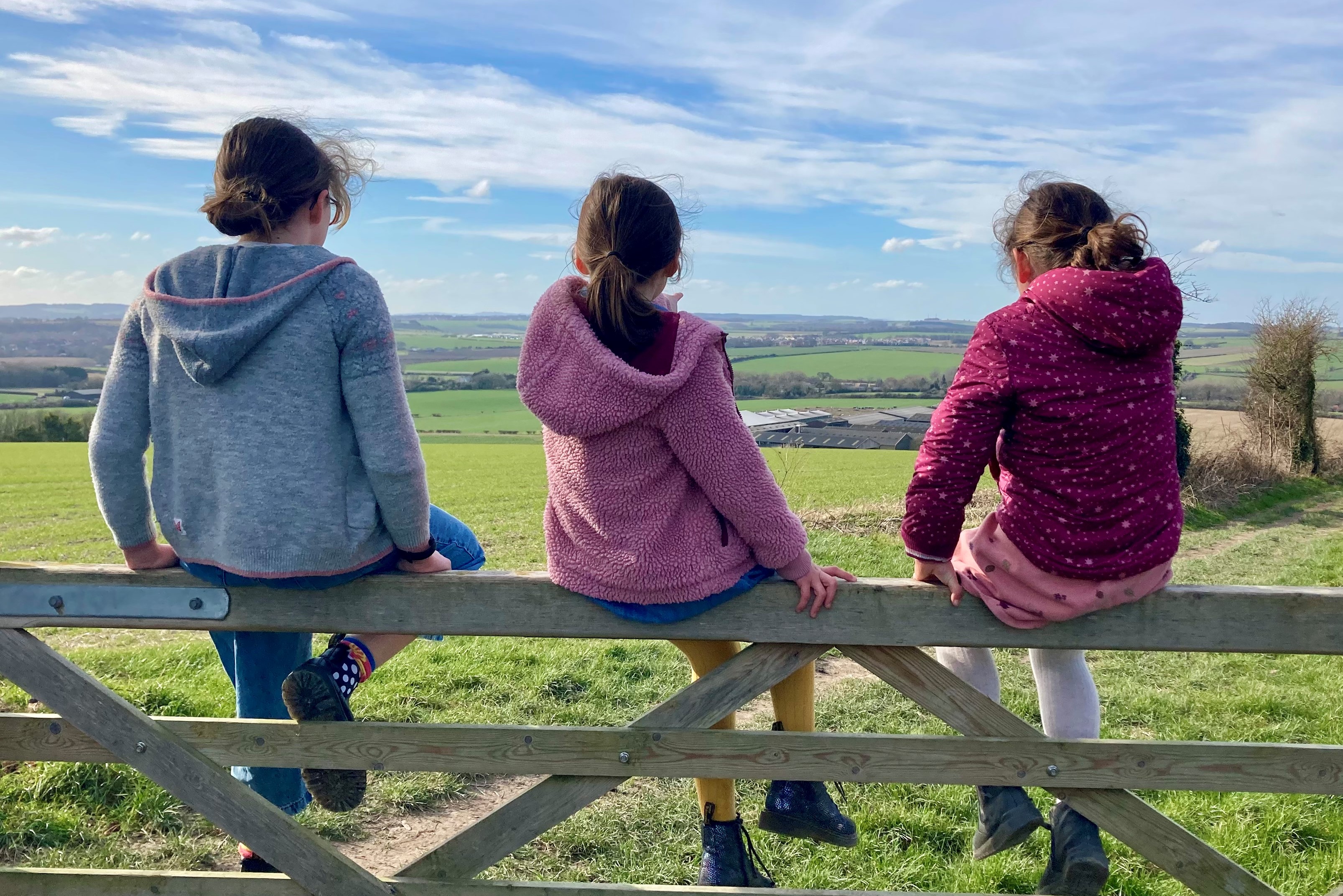 Figsbury Ring 4
