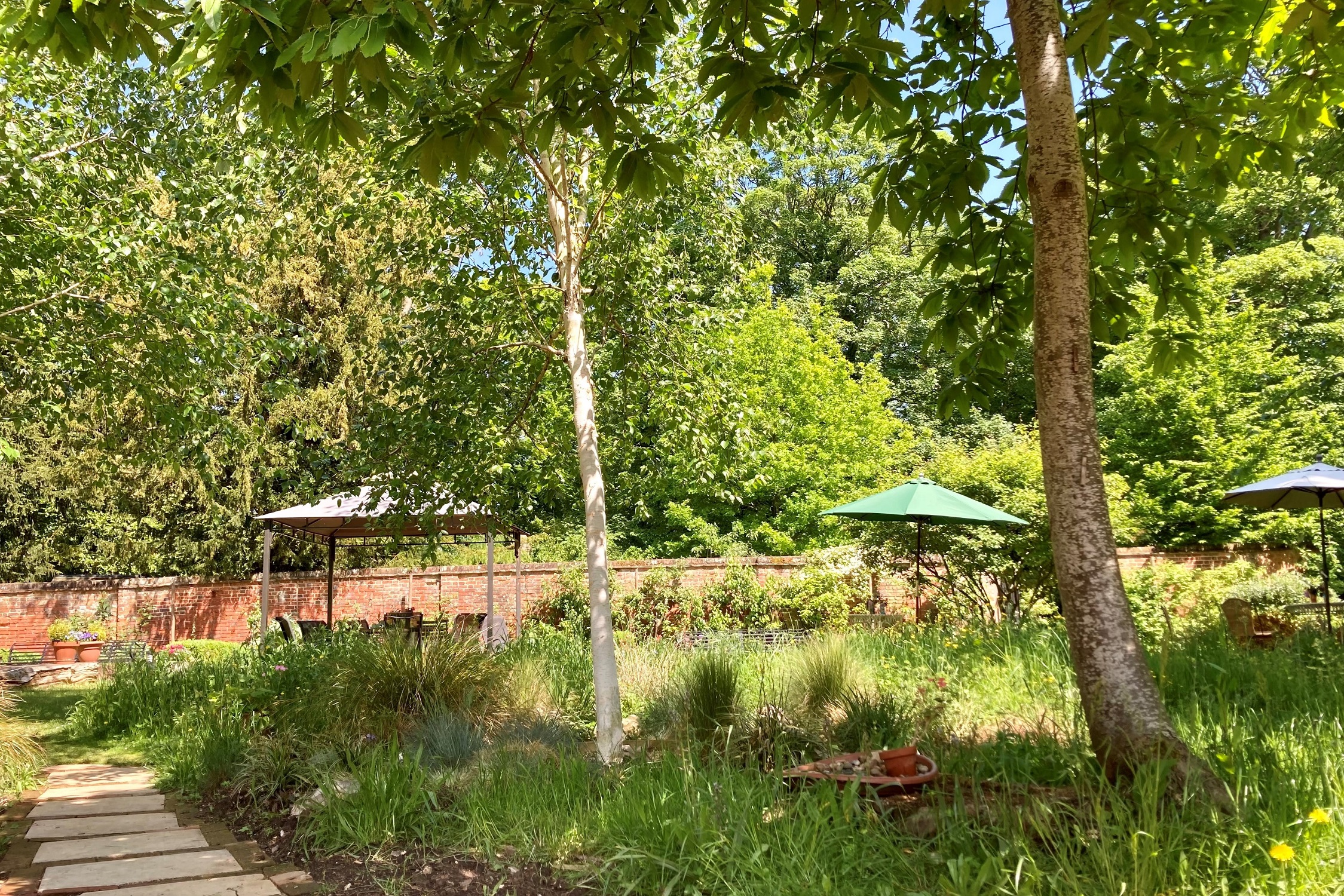 Secret Garden 2022 LJ 17