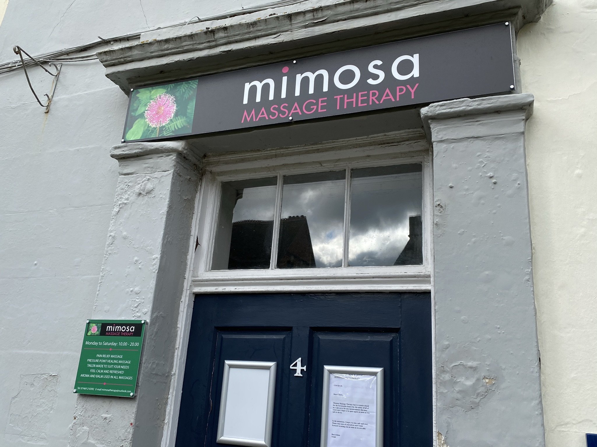 mimosa.jpeg
