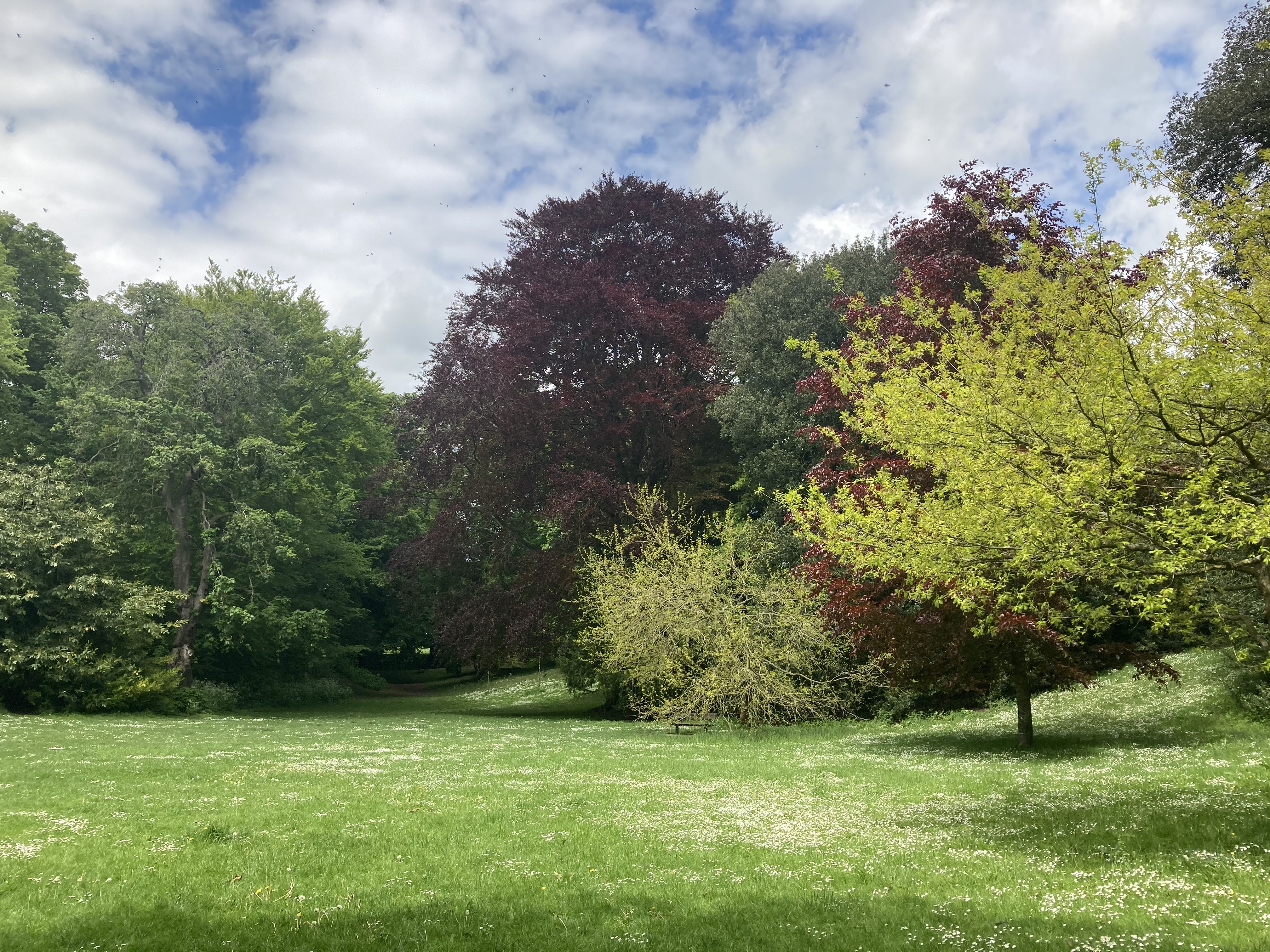 Bourne Hill Gardens New 3
