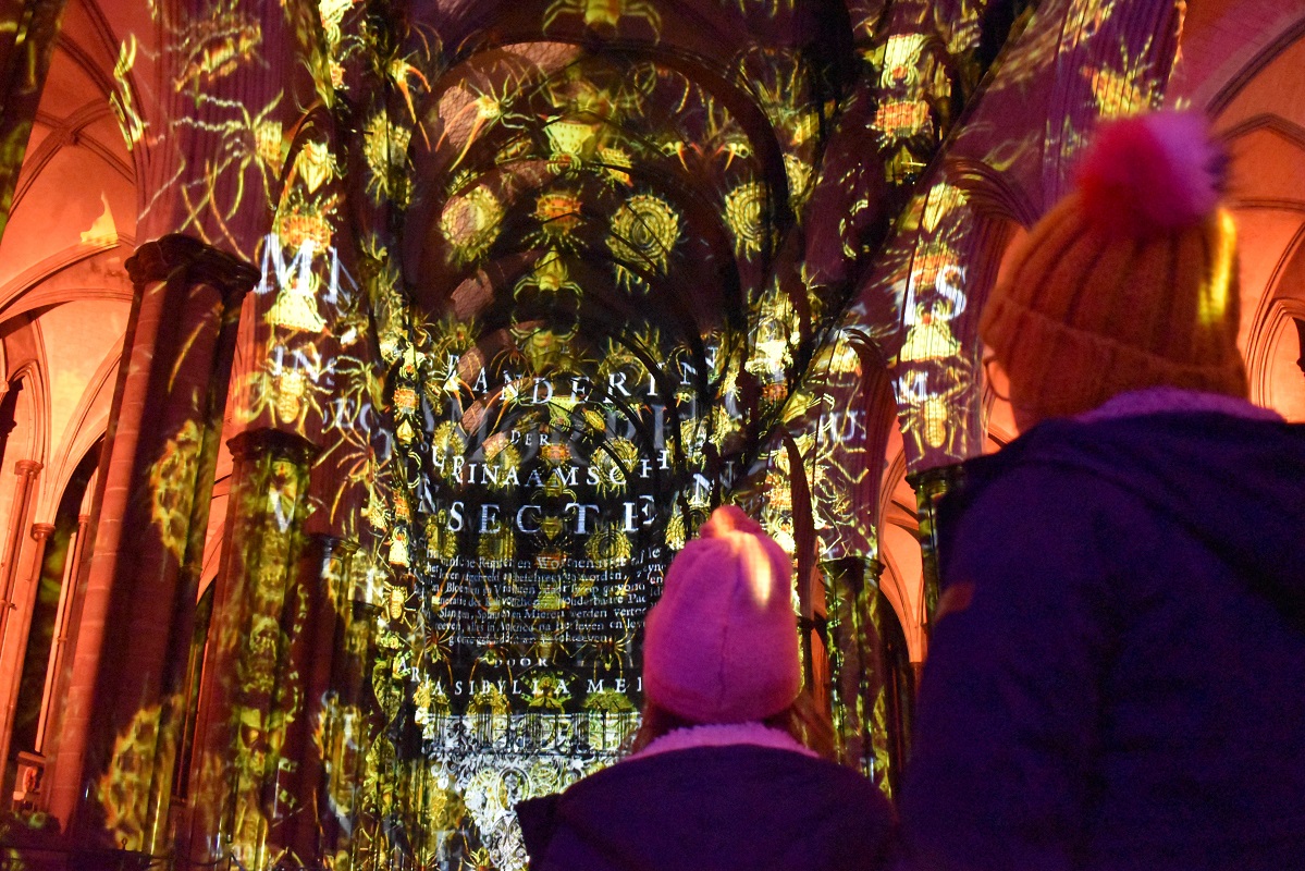Sarum Lights 2021 Inside 5