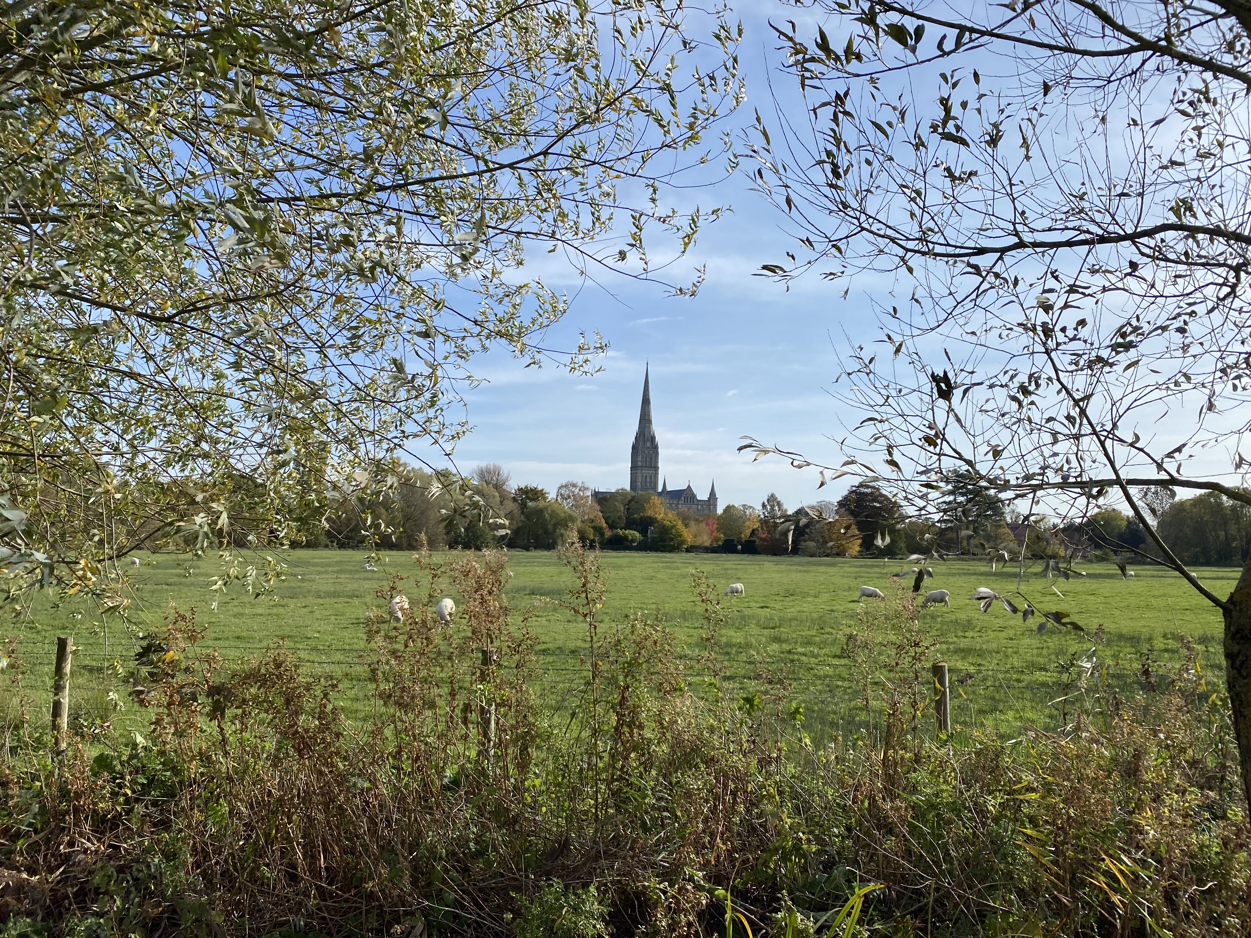 Cathedral From Town Path (2)