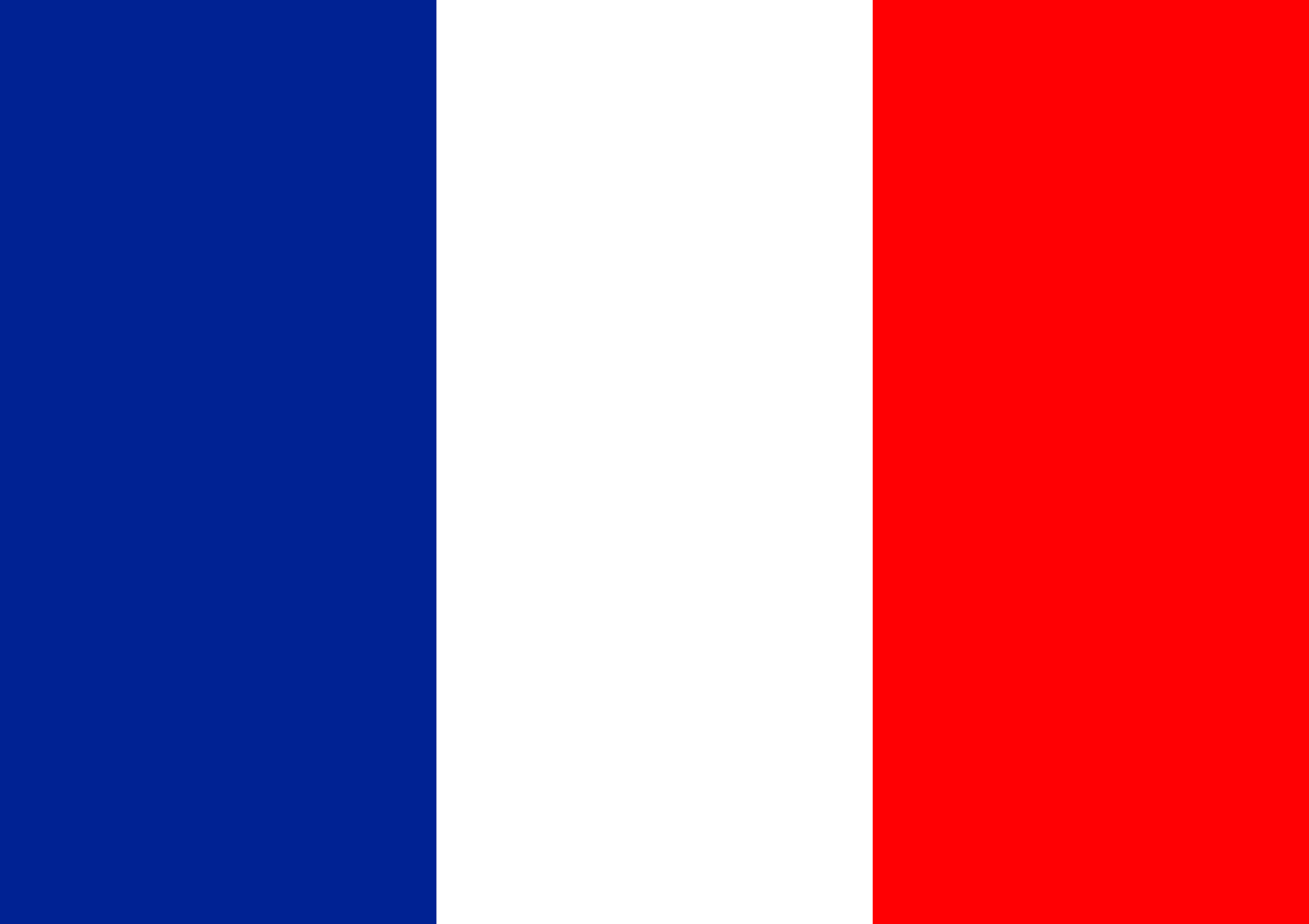 just_flag__size_a4_.png