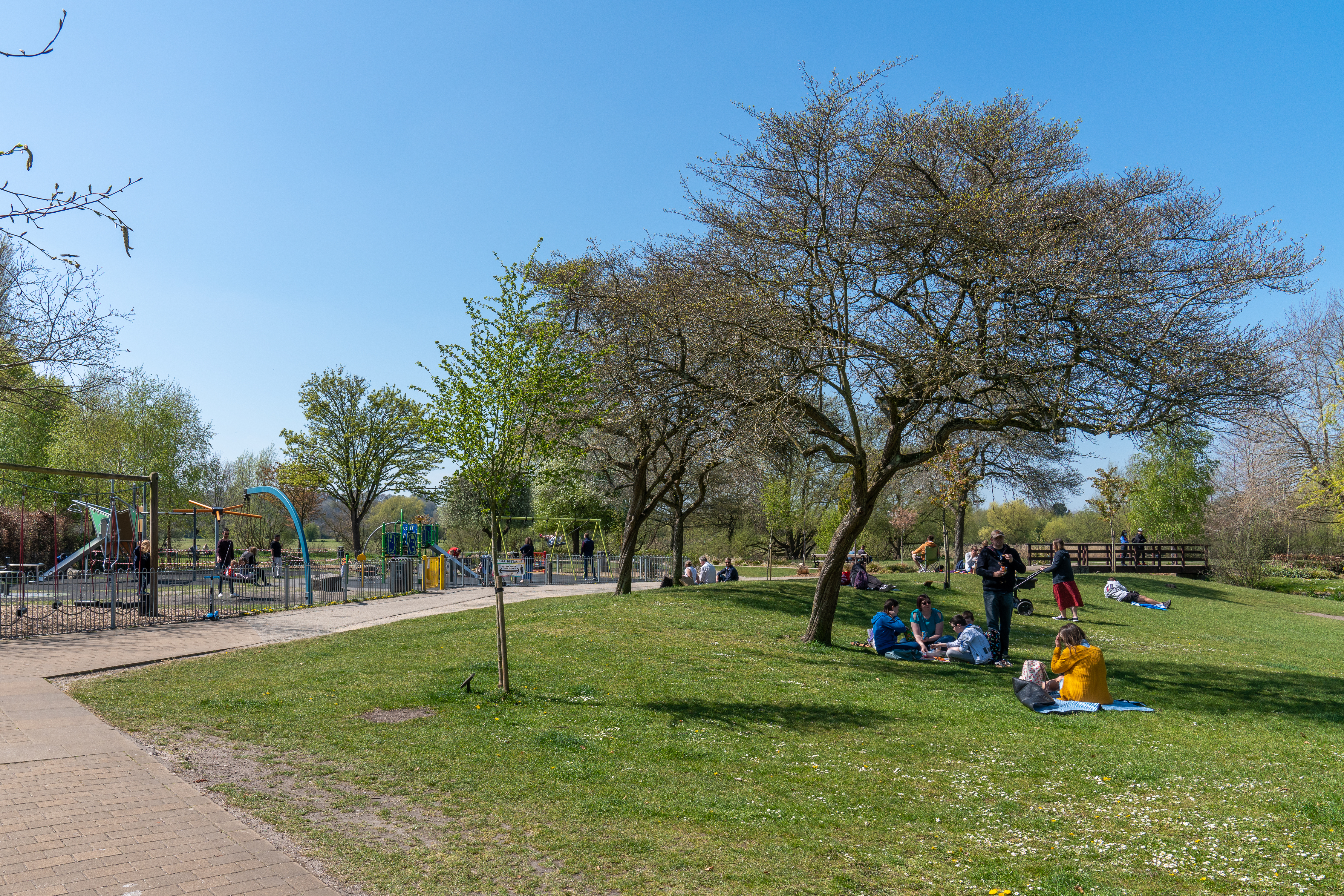 Adrian Harris Photography 00214
