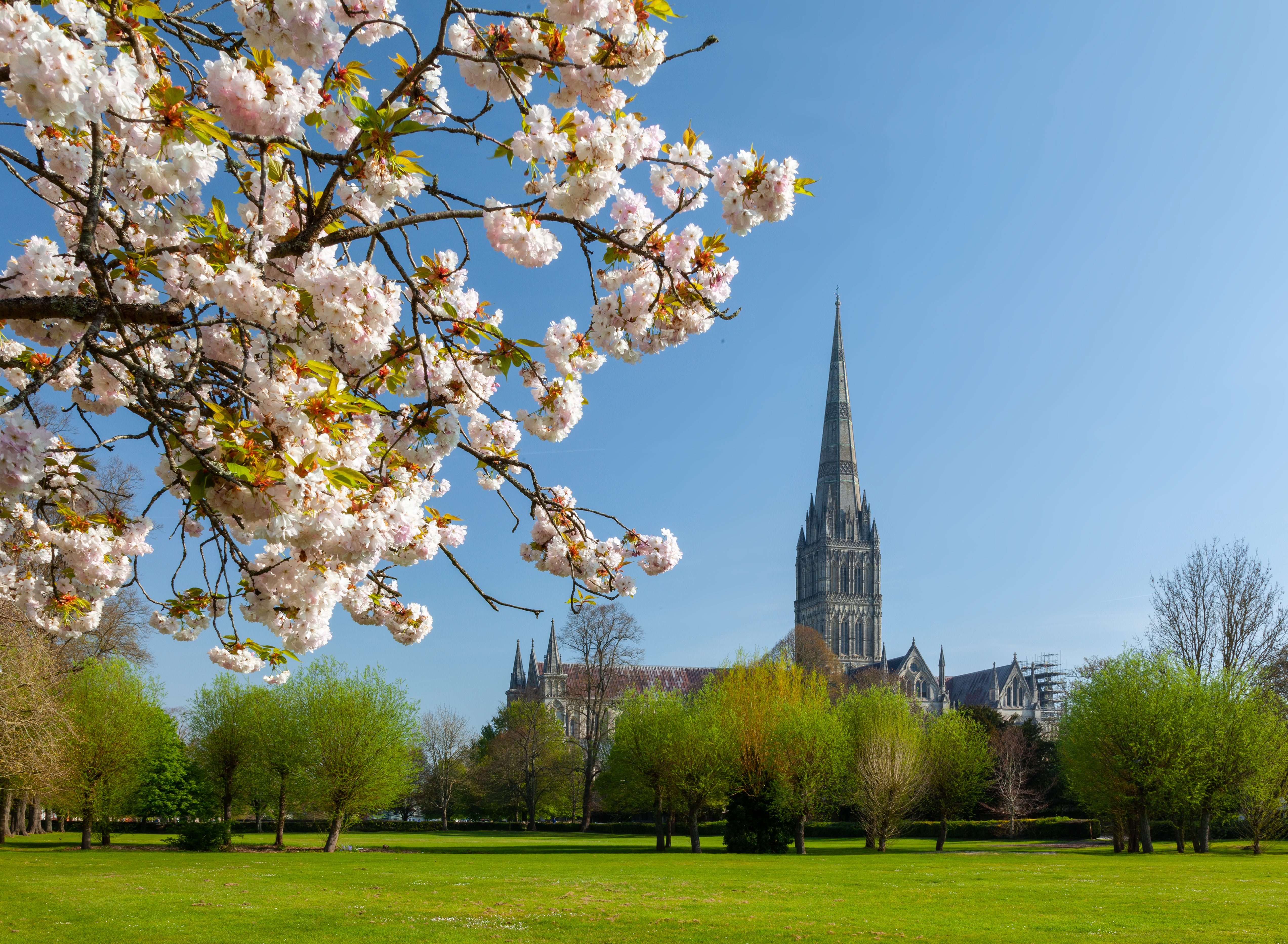 Neville Stankik BID USE ONLY Salisbury Cathedral