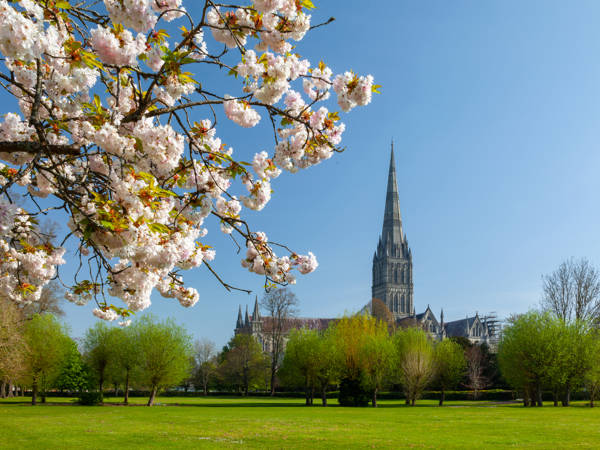 Neville Stankik BID USE ONLY Salisbury Cathedral