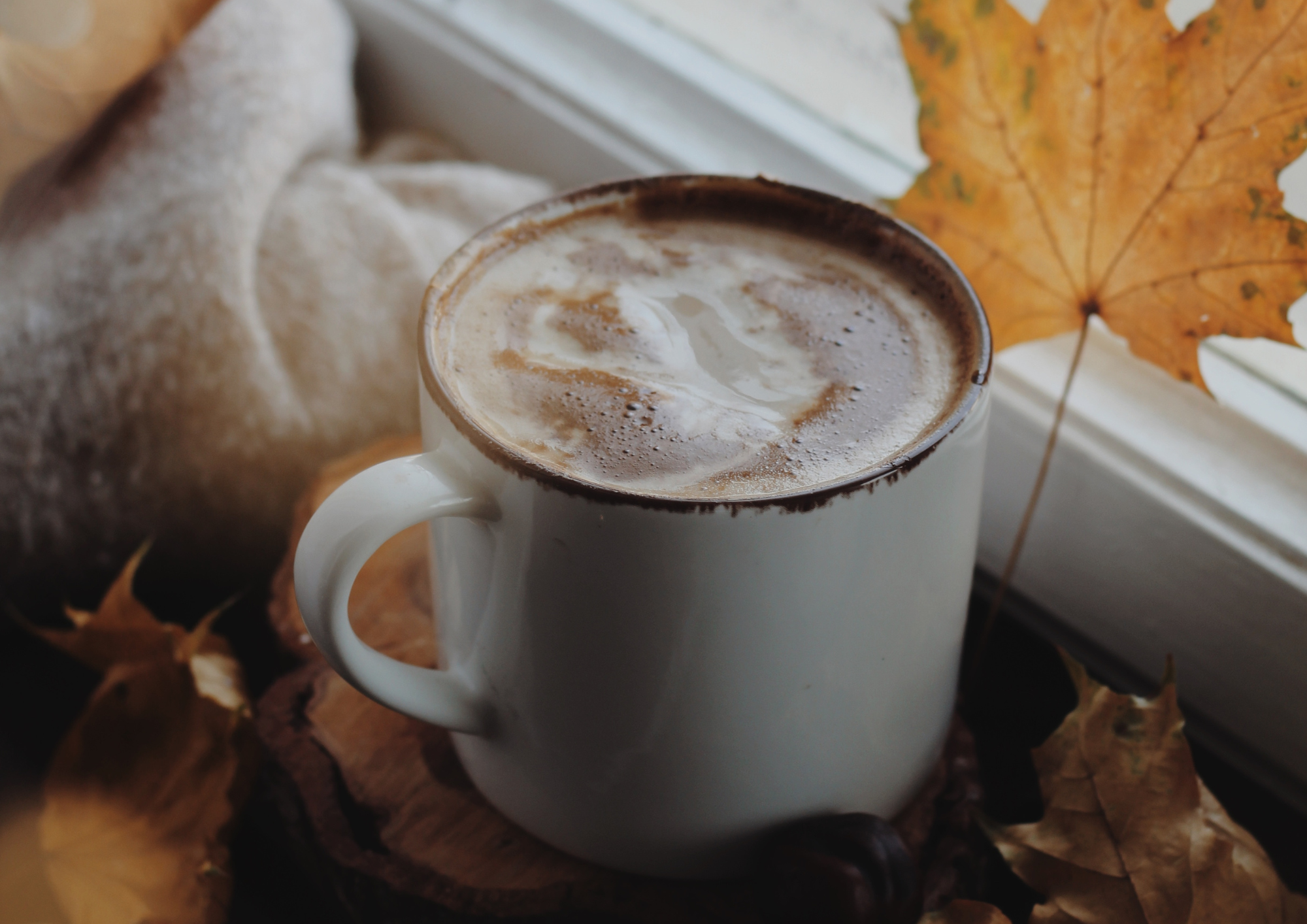 What's On November