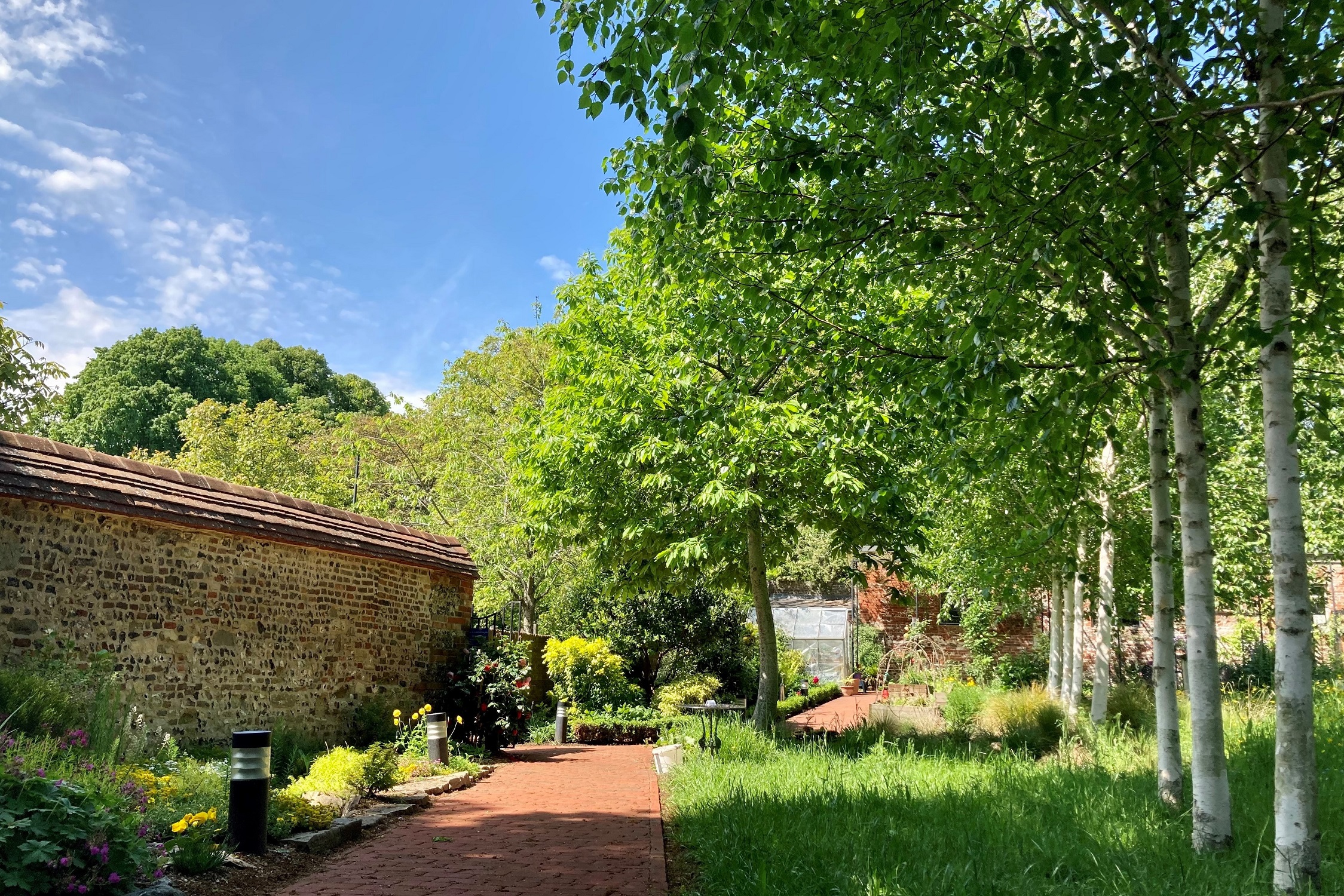 Secret Garden 2022 LJ 6