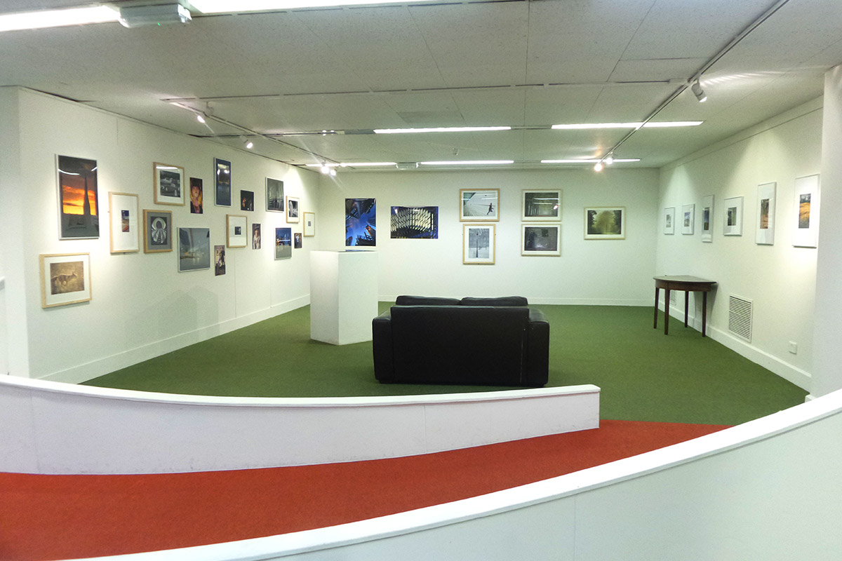 Young Gallery