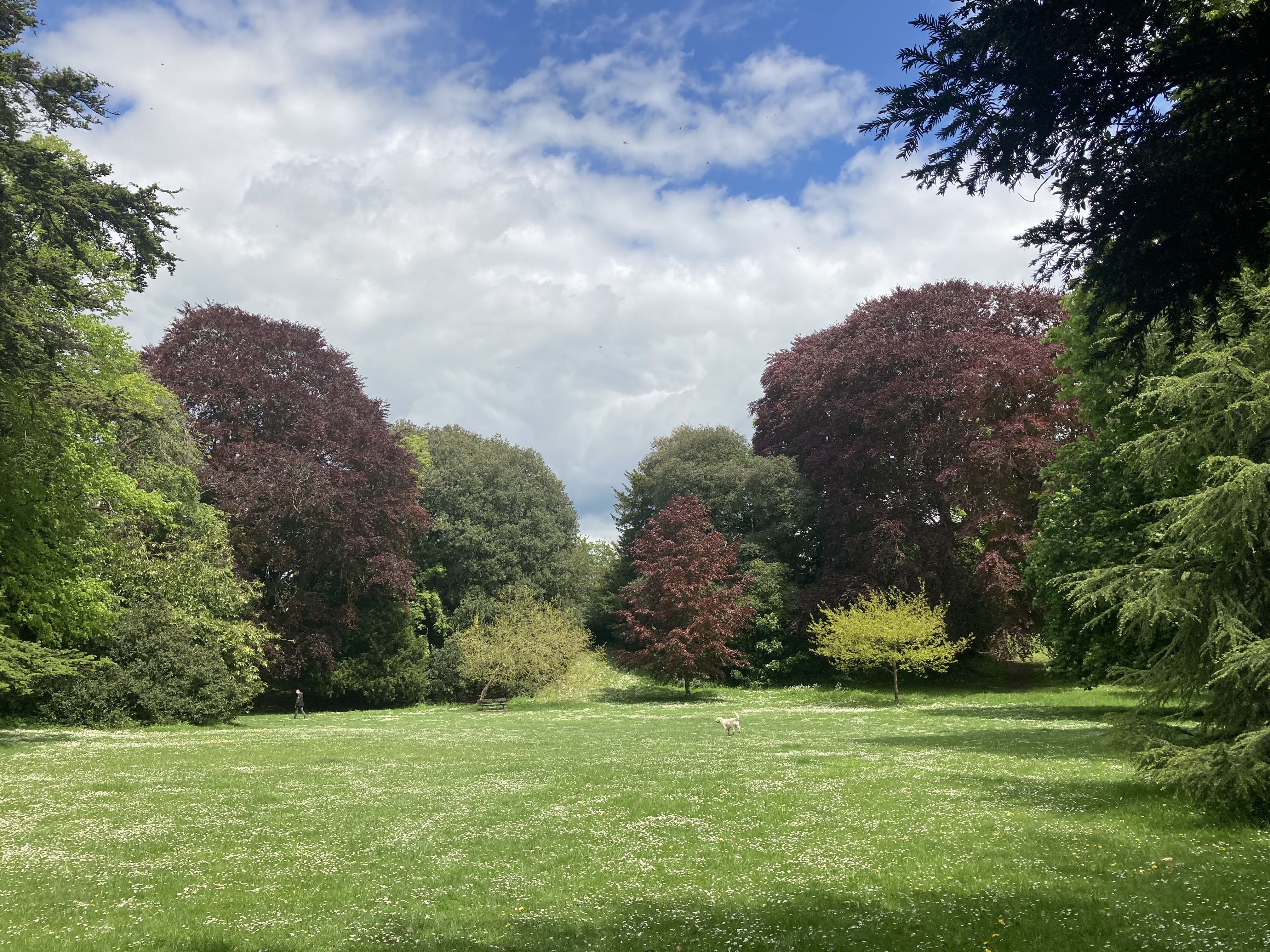 Bourne Hill Gardens New 1
