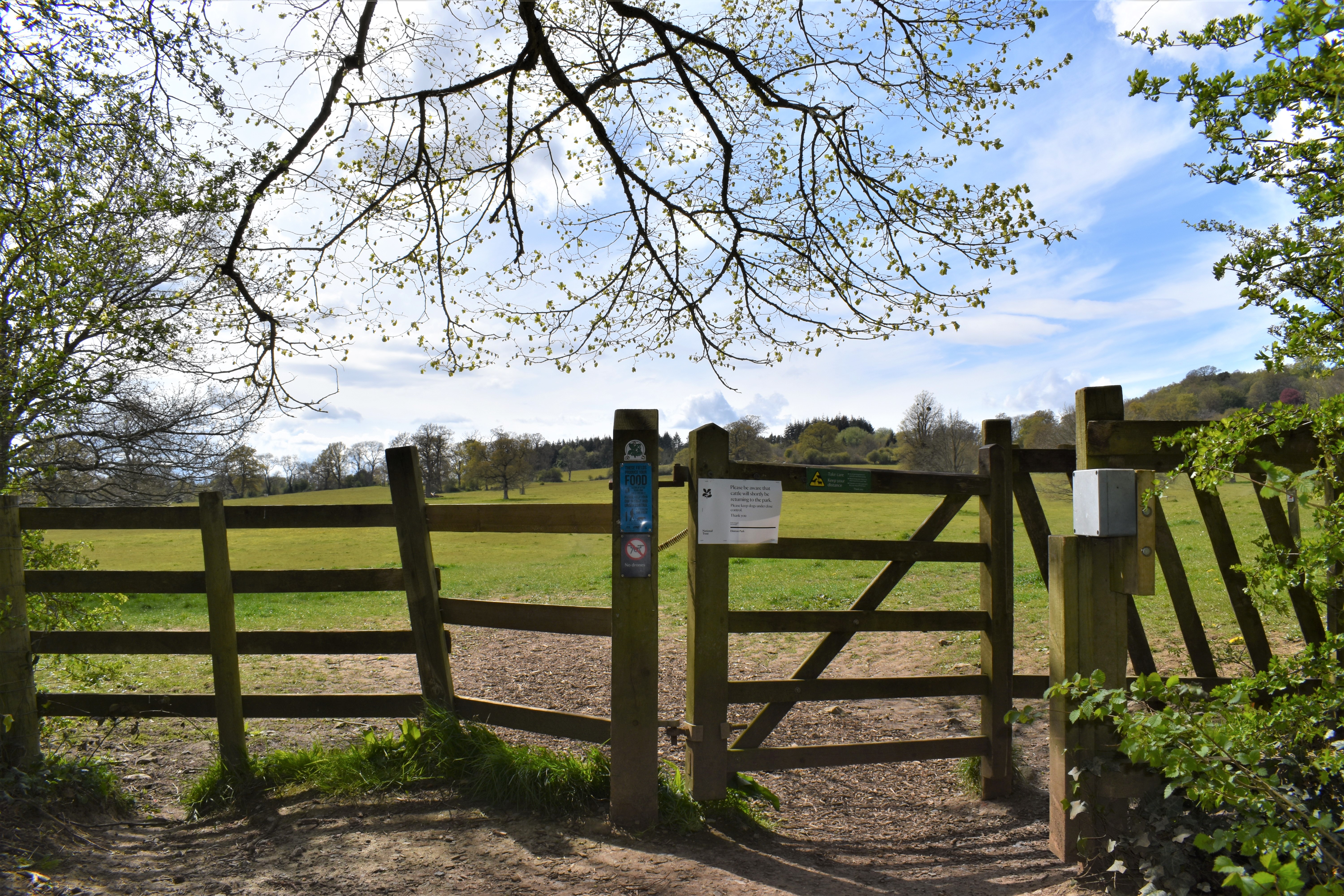 Dinton Park 3 (1)
