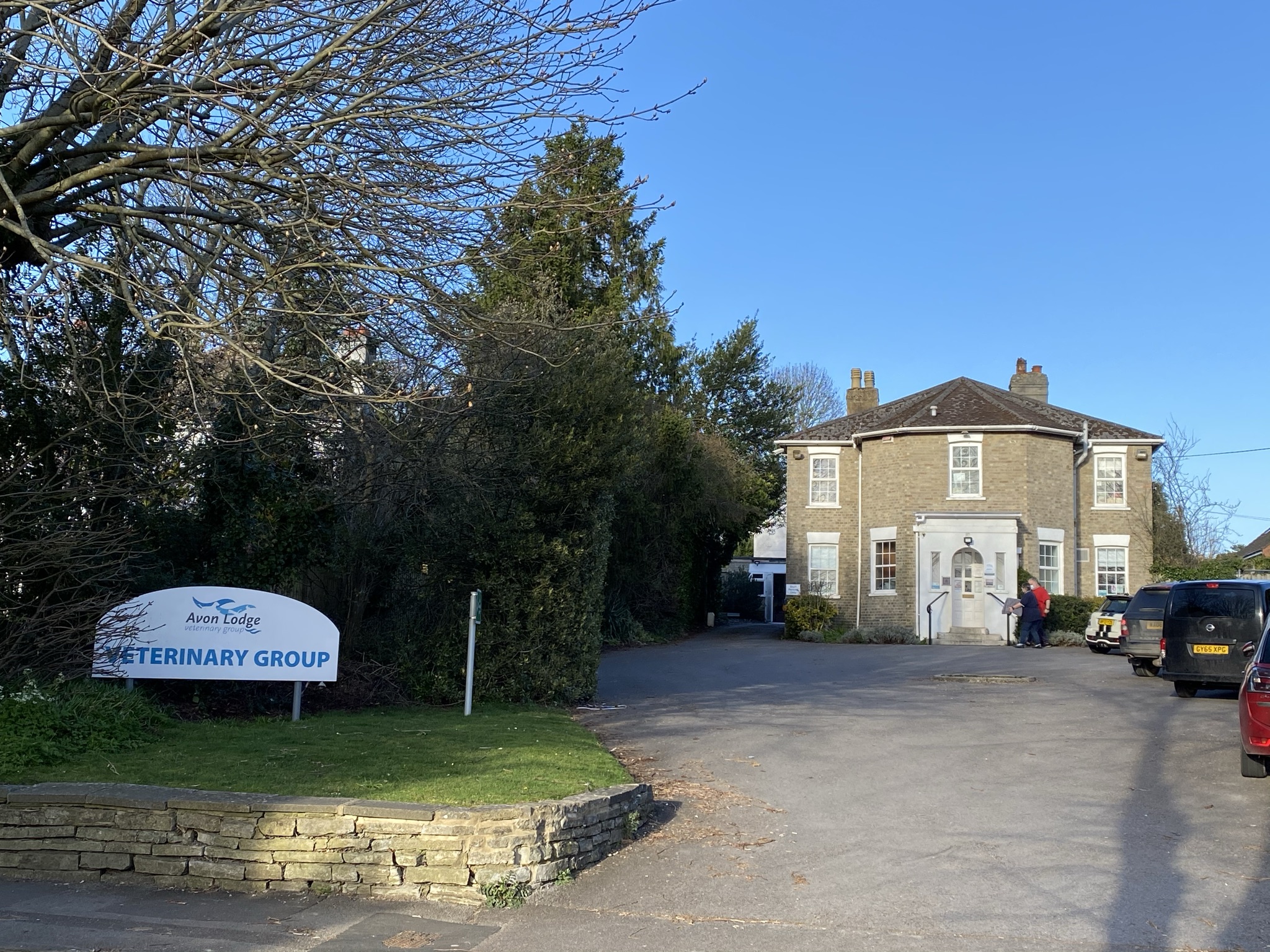 avon_lodge_vets_salisbury__2_.jpeg