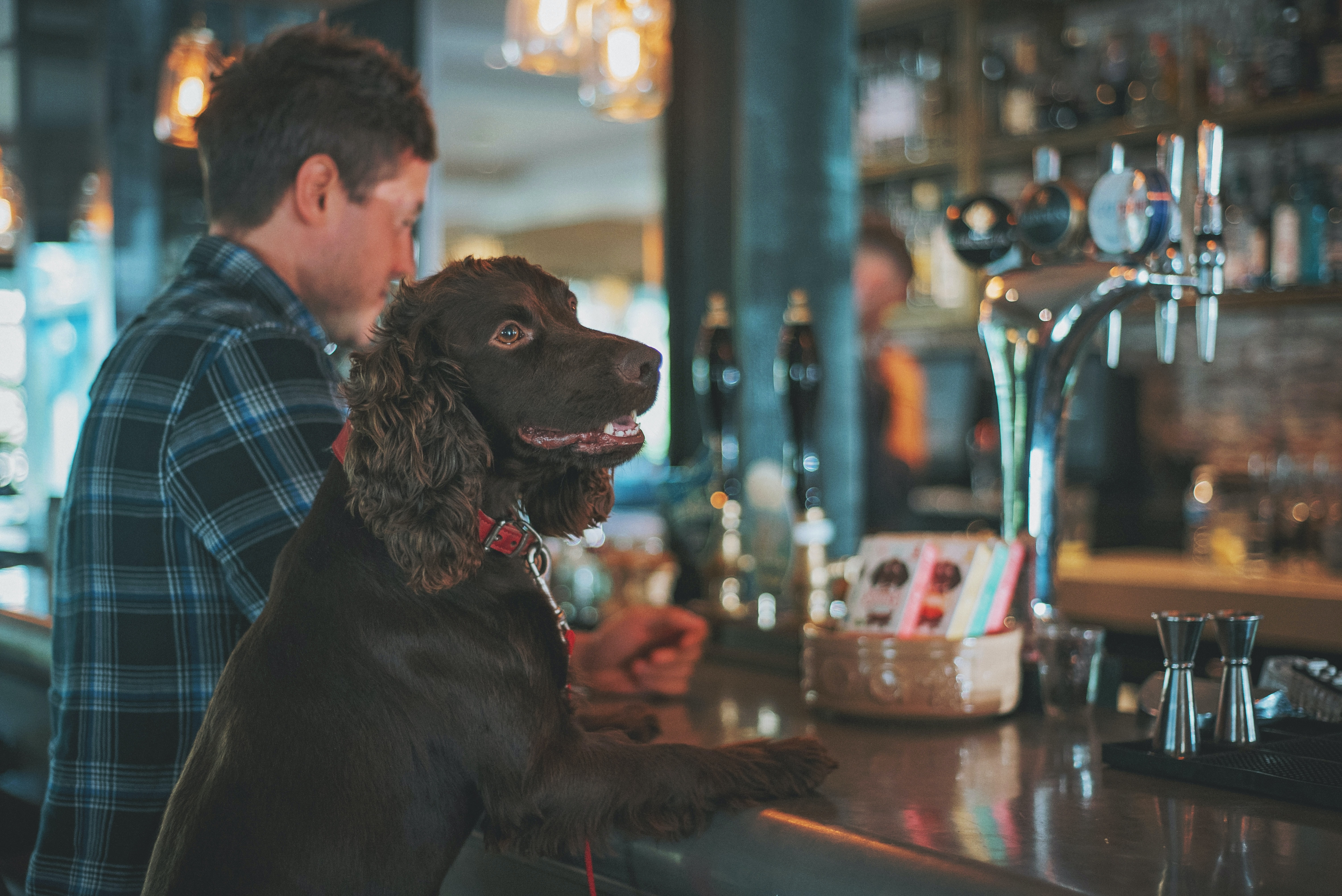 Dog Friendly Eateries