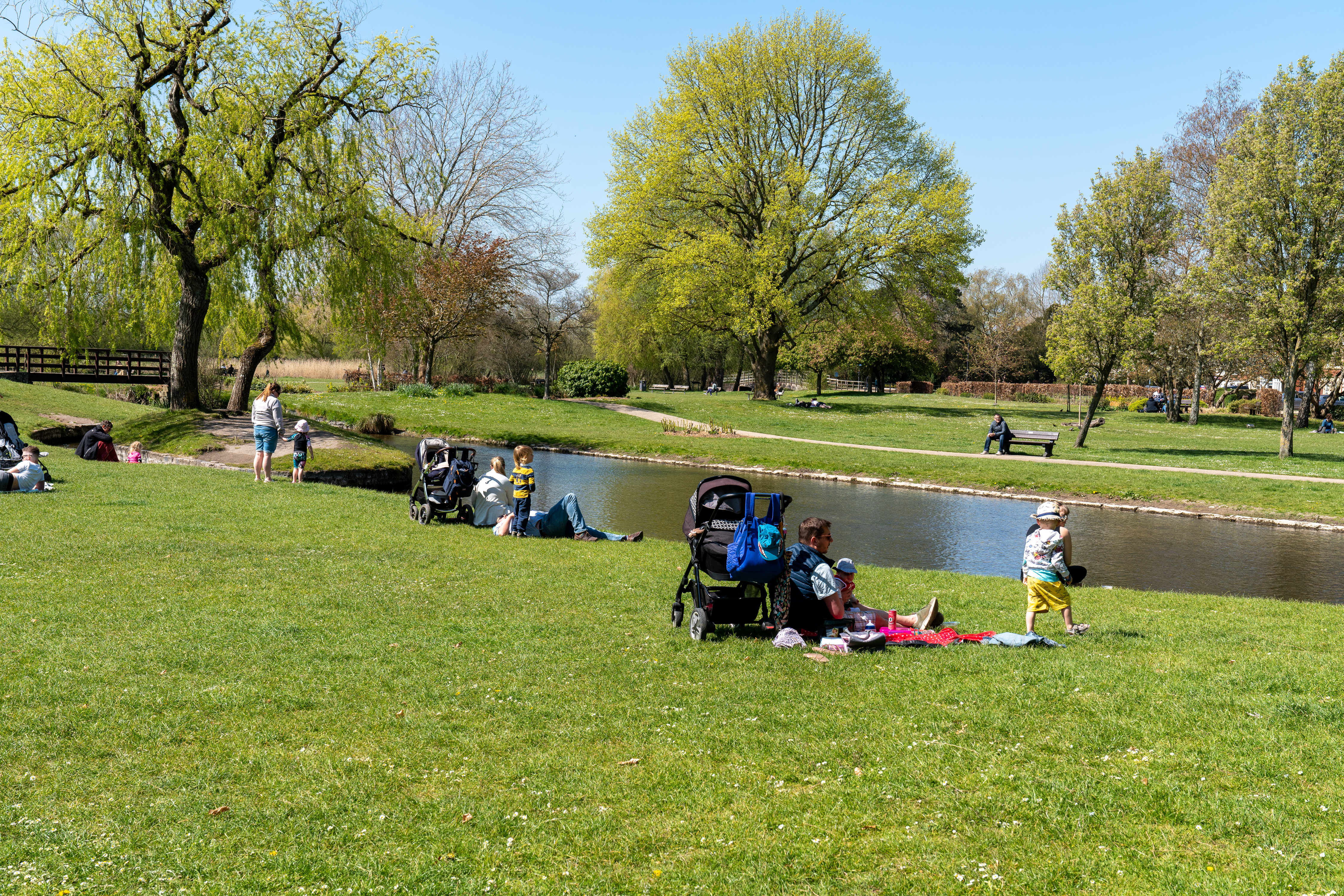 Adrian Harris Photography 00207