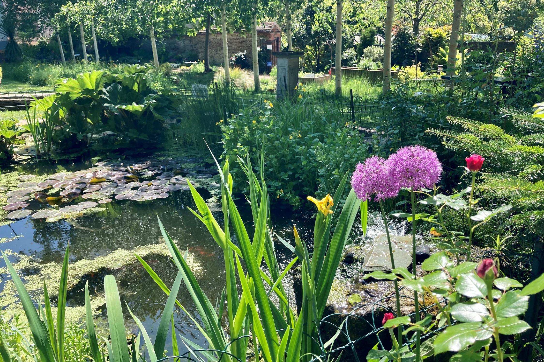 Secret Garden 2022 LJ 11