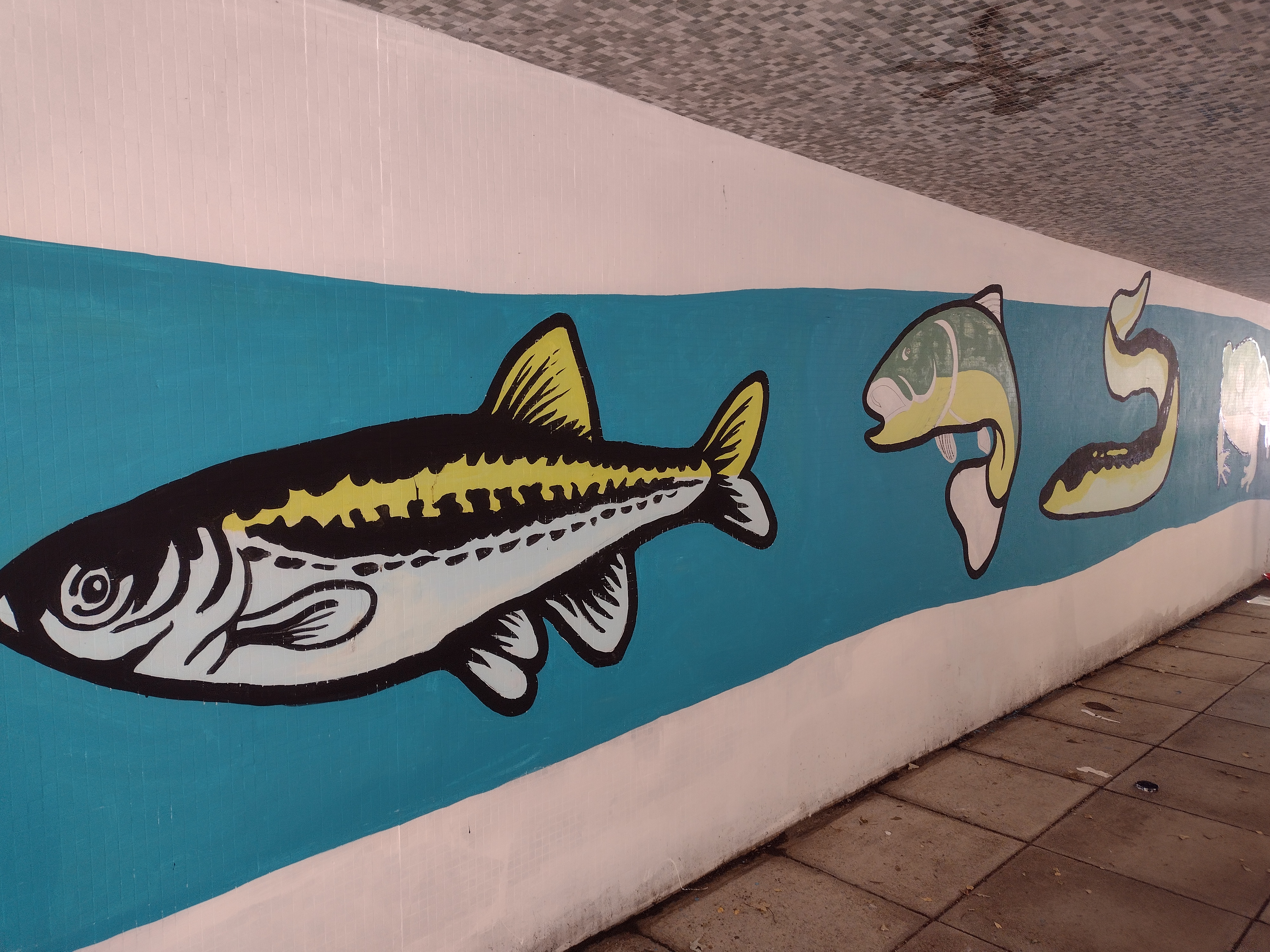 Exeter Street Underpass 2