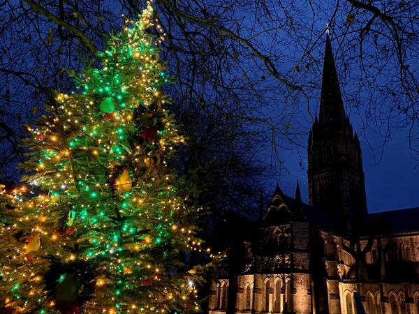 Christmas In Salisbury 2020 Cathedral (63)