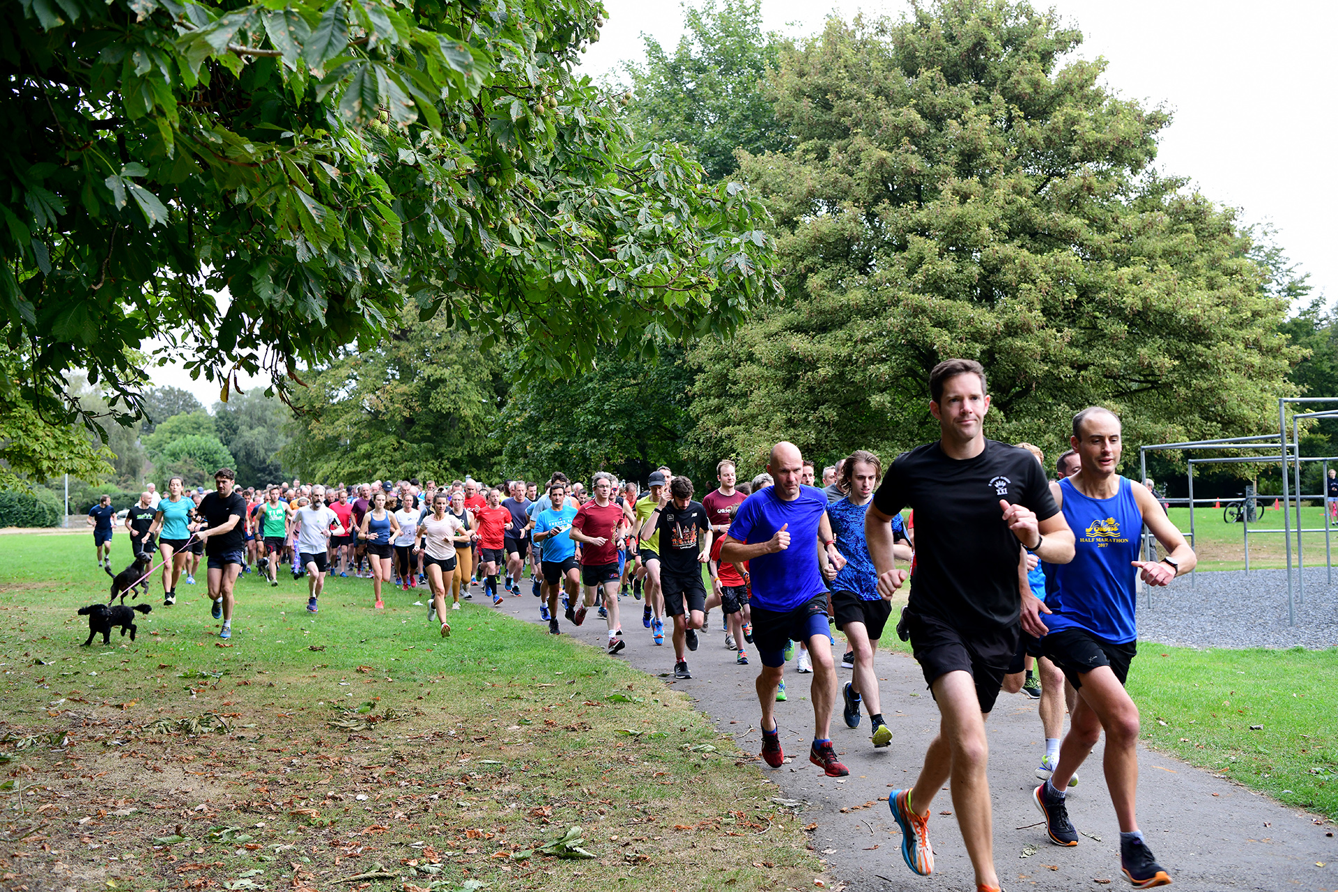 Park Run Salisbury Traditional Original Website