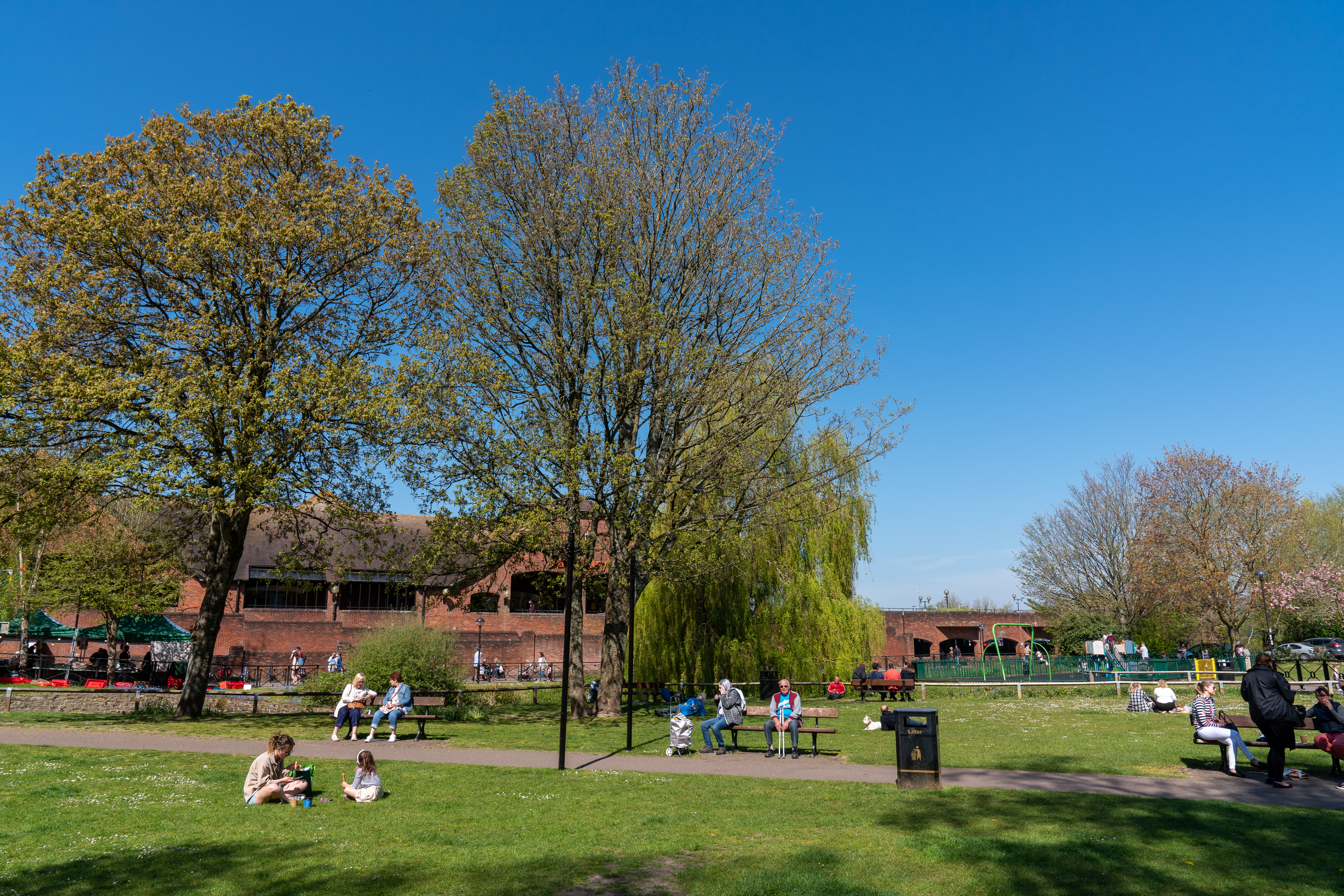 Adrian Harris Photography 00158