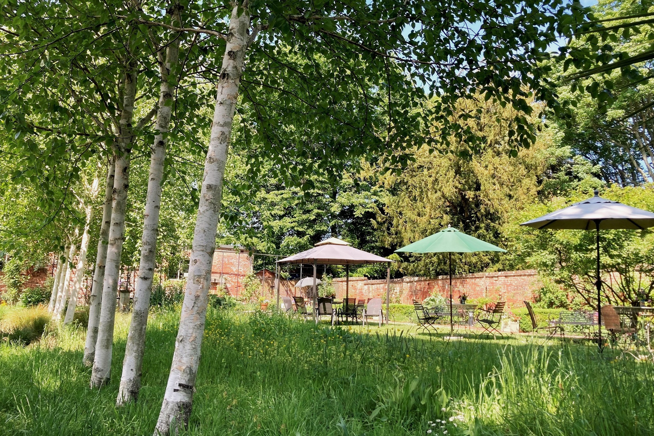 Secret Garden 2022 LJ 1