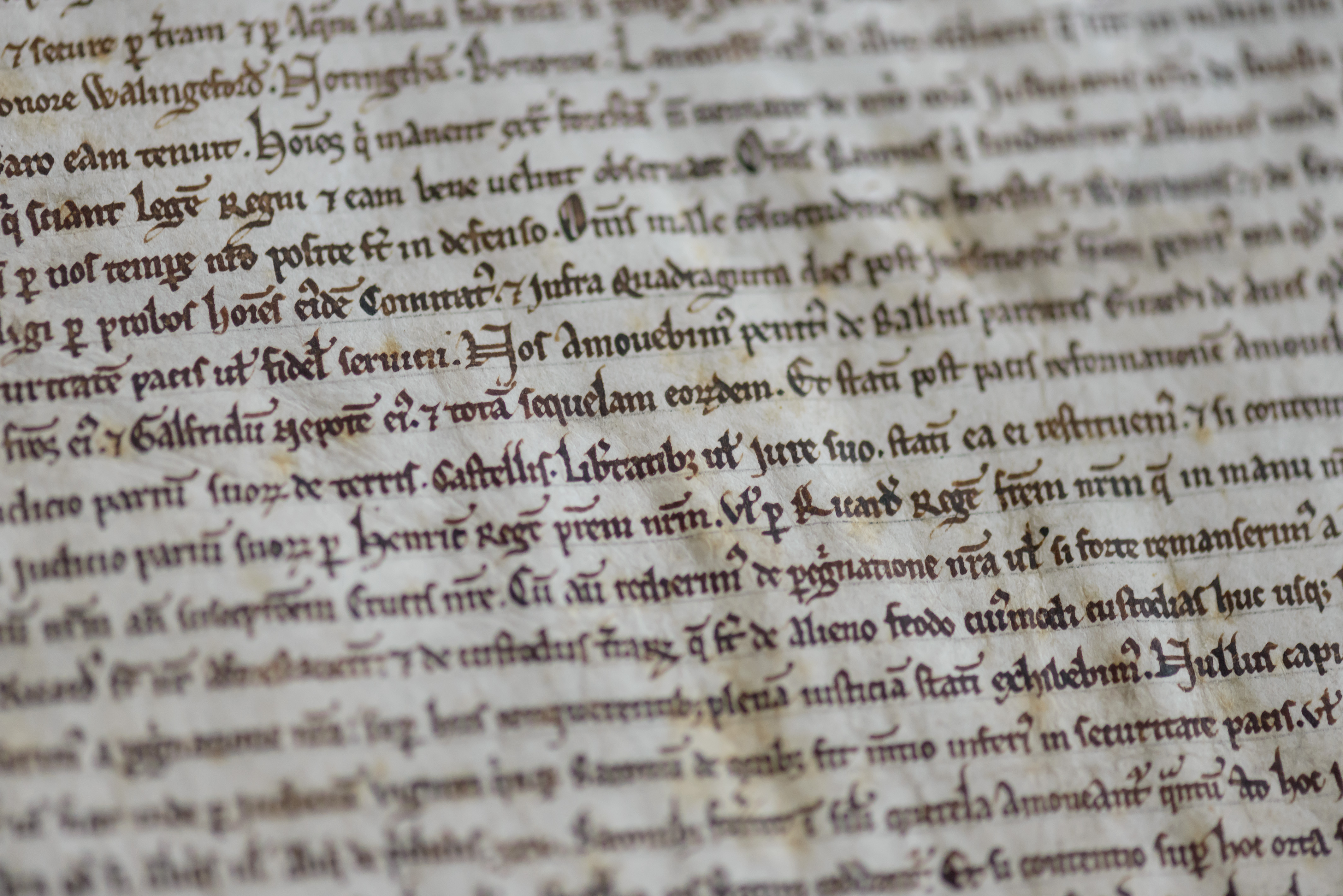 038 Magna Carta Inspection Copy