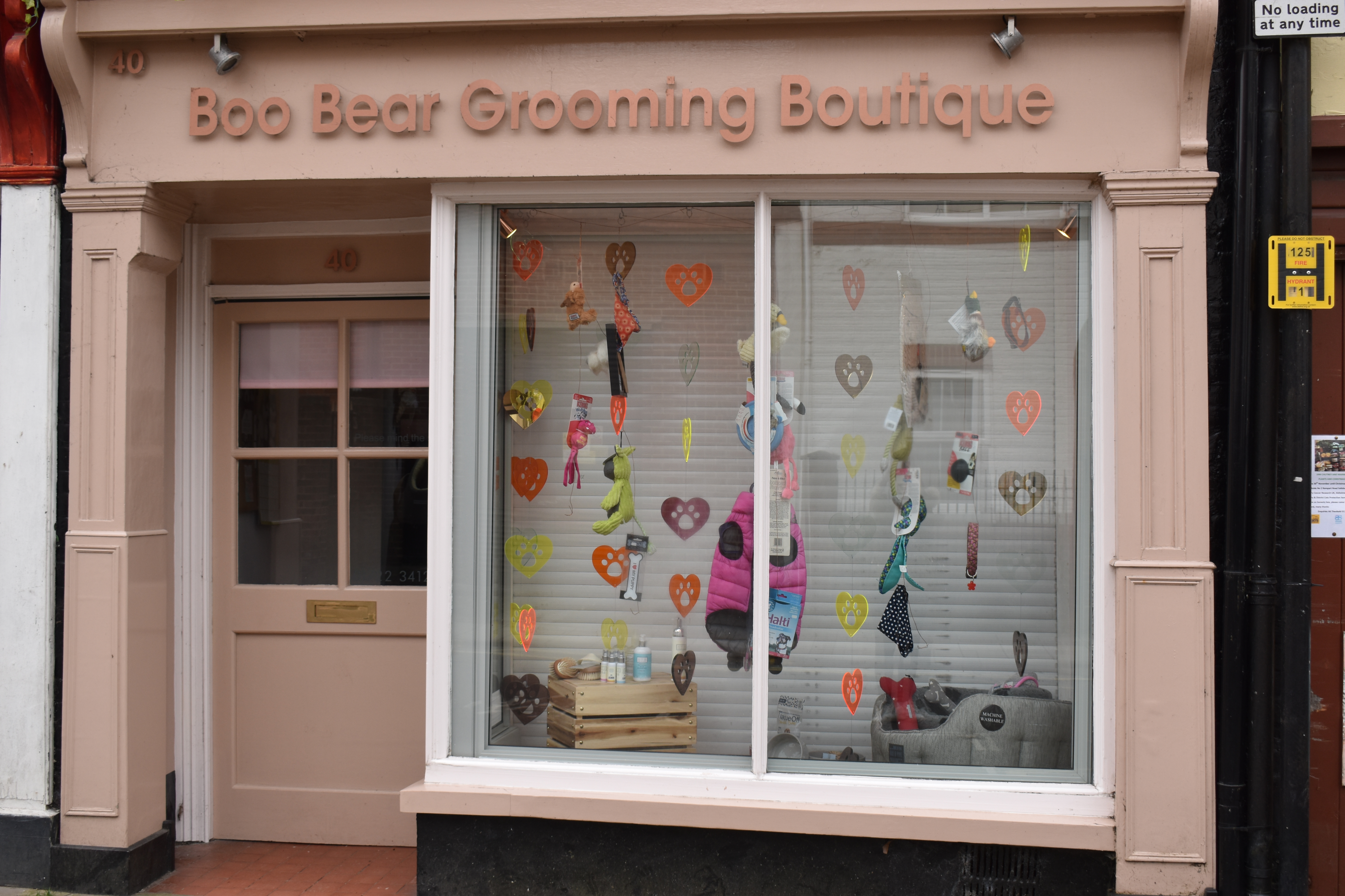 boo_bear_grooming.jpg