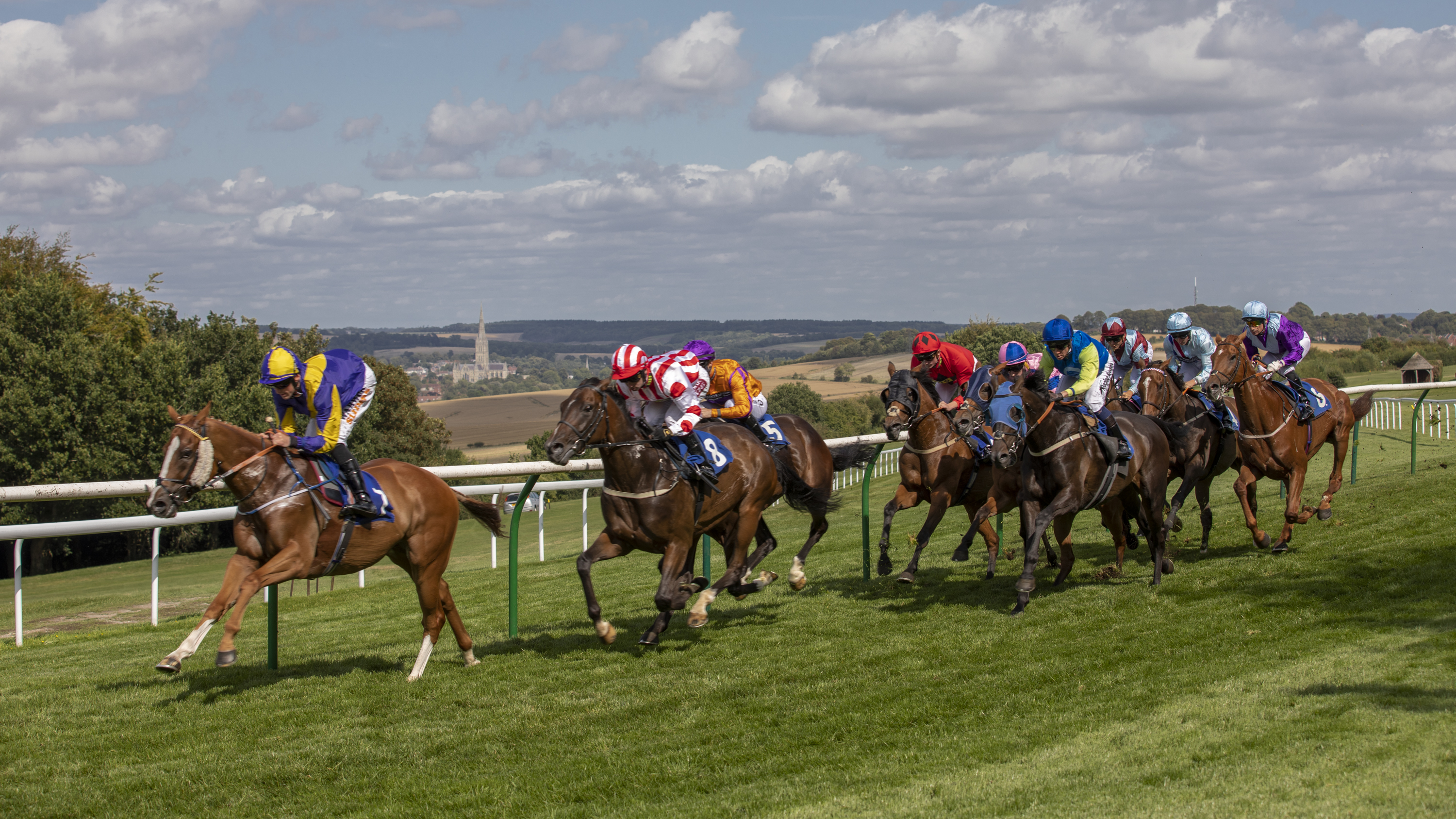 Horses Cathedral