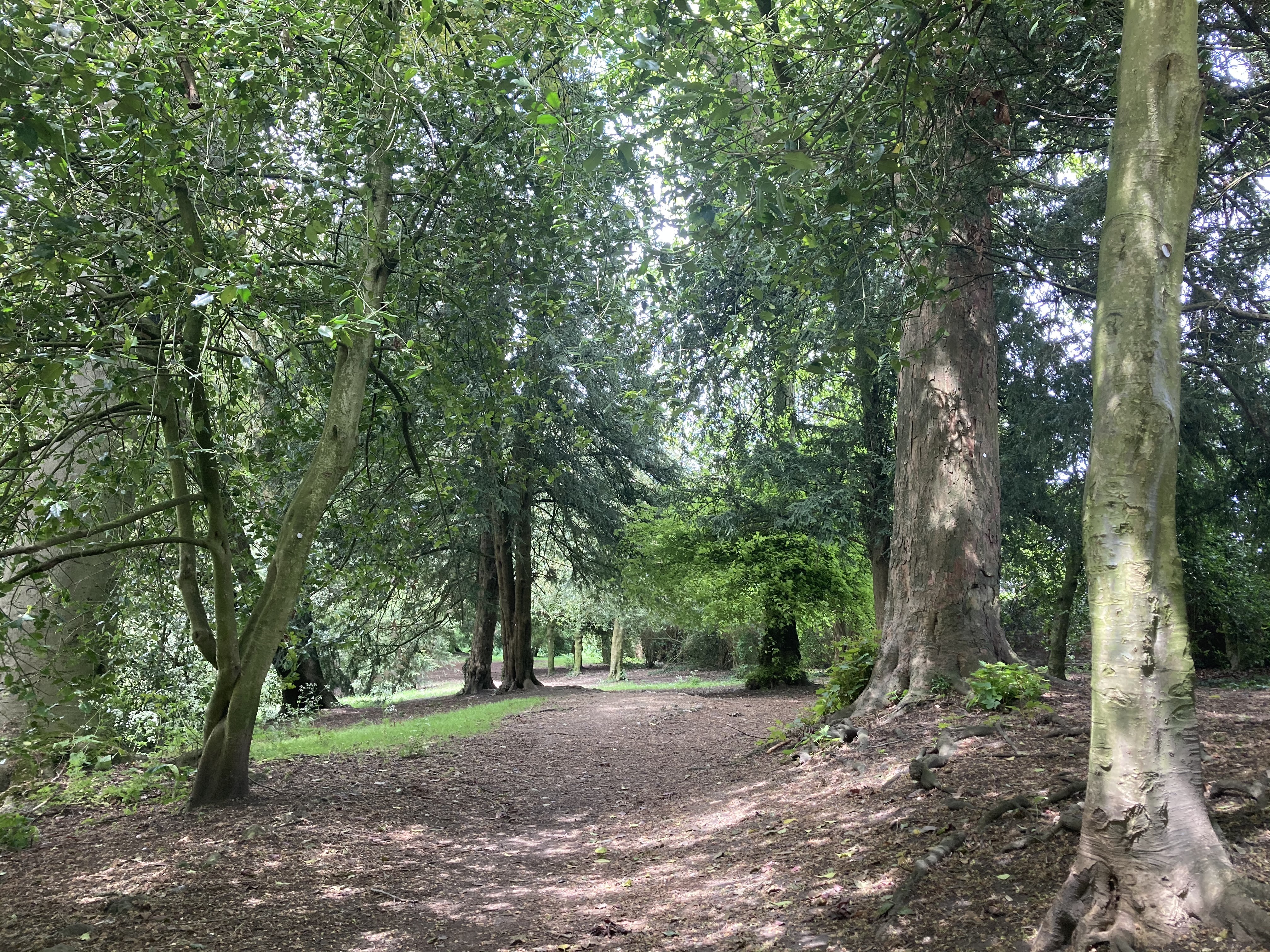 Bourne Hill Gardens New 5